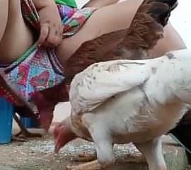 Должно смотреть Дези bhabi кормления курицы